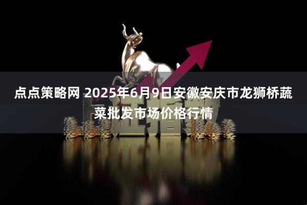 点点策略网 2025年6月9日安徽安庆市龙狮桥蔬菜批发市场价格行情