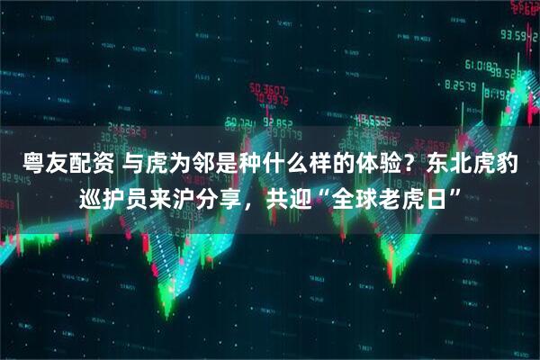 粤友配资 与虎为邻是种什么样的体验？东北虎豹巡护员来沪分享，共迎“全球老虎日”