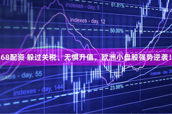 68配资 躲过关税、无惧升值，欧洲小盘股强势逆袭！