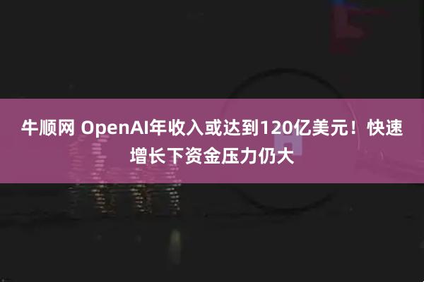牛顺网 OpenAI年收入或达到120亿美元！快速增长下资金压力仍大
