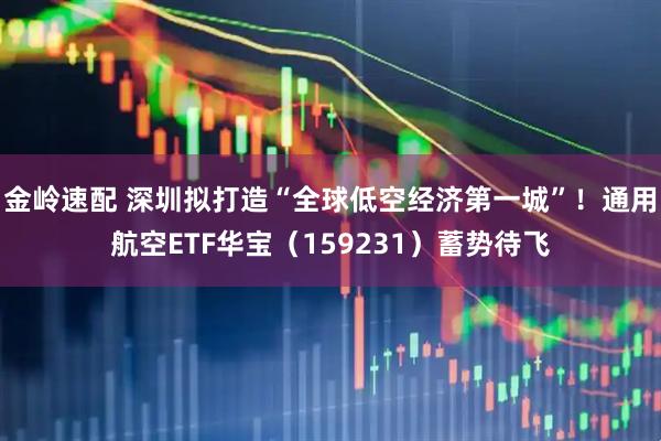 金岭速配 深圳拟打造“全球低空经济第一城”！通用航空ETF华宝（159231）蓄势待飞