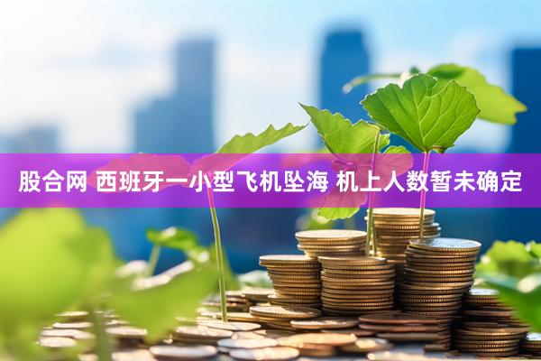 股合网 西班牙一小型飞机坠海 机上人数暂未确定