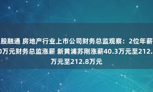 股融通 房地产行业上市公司财务总监观察：2位年薪超200万元财务总监涨薪 新黄浦苏刚涨薪40.3万元至212.8万元