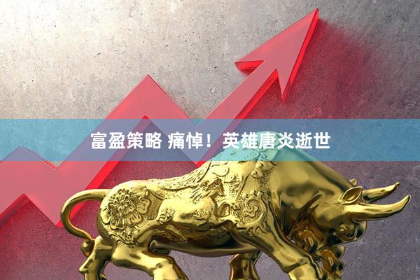 富盈策略 痛悼！英雄唐炎逝世