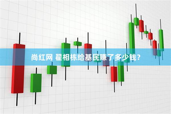尚红网 翟相栋给基民赚了多少钱？